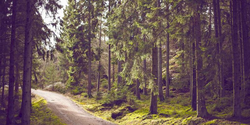 铝瓦41：禅意建筑与现代金属屋面的诗意融合