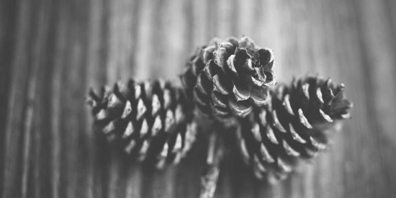 铝瓦在热带多雨地区表现如何？深度实测其耐湿热与抗霉菌性能