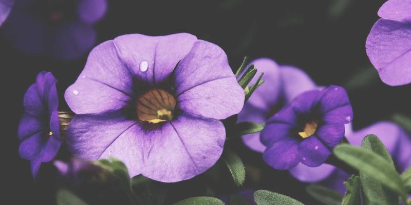 铝瓦屋面如何抵御台风？抗风揭性能测试与关键固定技术解析