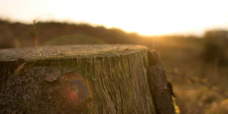 铝瓦崛起：现代屋面工程的革新材料与未来趋势